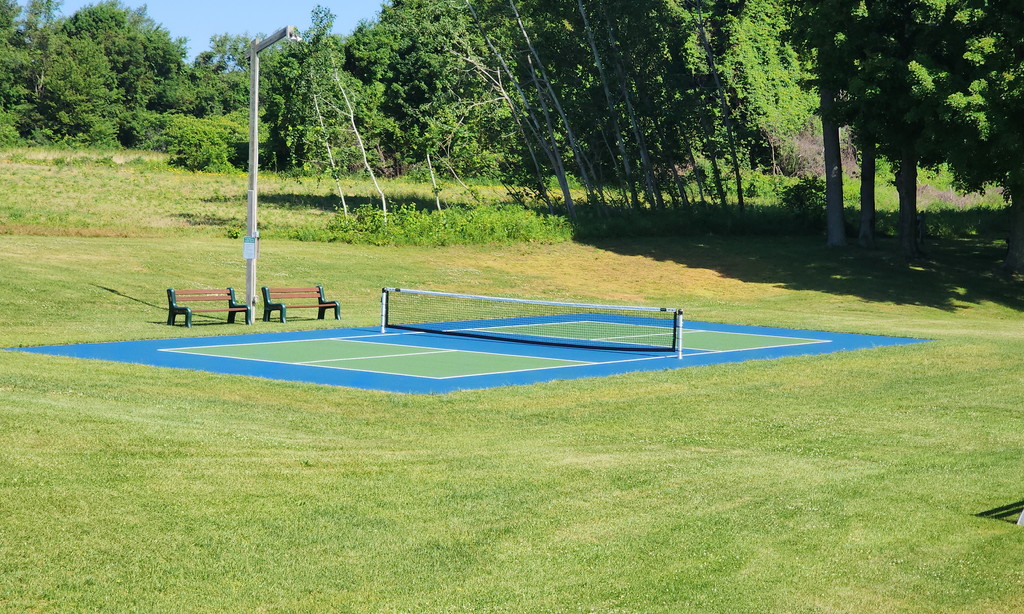 Pickleball Court